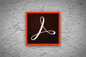 Adobe Acrobat Standard vs. Acrobat Pro: When does spending more make sense?