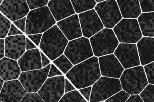 Anthropic's new AI found thousands of zero-day flaws on its own
