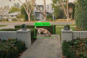 Why Ring's Super Bowl ad hits so sinister