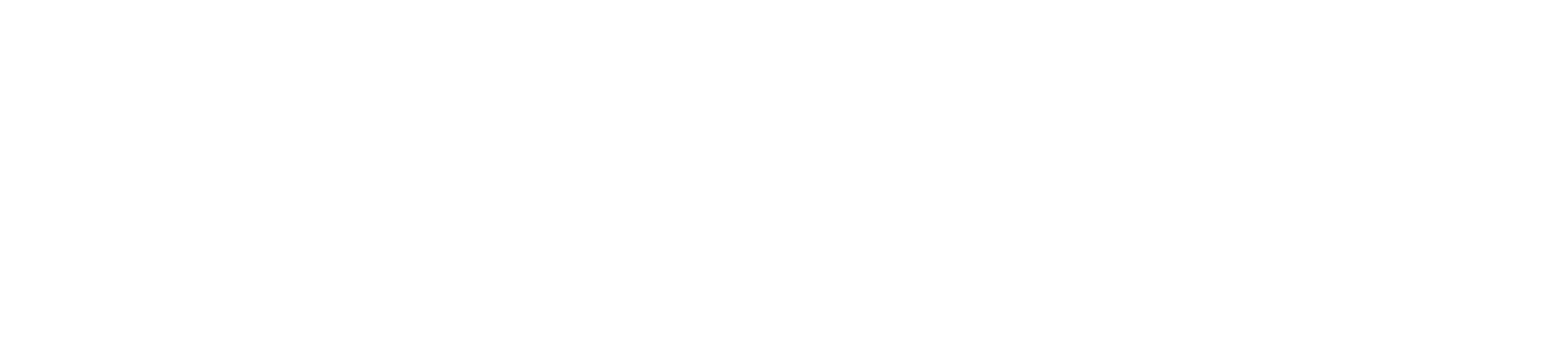 Republic of Gamers logo